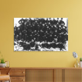 ギリシャ歩兵の将校の写真:ギリシャ キャンバスプリント (インサイチュ (リビング))