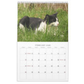 ギリシャ猫 カレンダー (2月 2026)