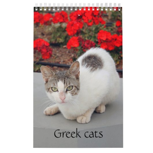 ギリシャ猫 – 小さな仲間のスナップショット カレンダー (カバー)