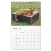 ギリシャ猫 – 小さな仲間のスナップショット カレンダー (2月 2027)