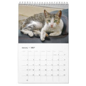 ギリシャ猫 – 小さな仲間のスナップショット カレンダー (1月 2027)