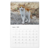 ギリシャ猫 – 小さな仲間のスナップショット カレンダー (3月 2027)
