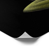 ギリシャ神話の女神メドゥーサ ポスター (角)