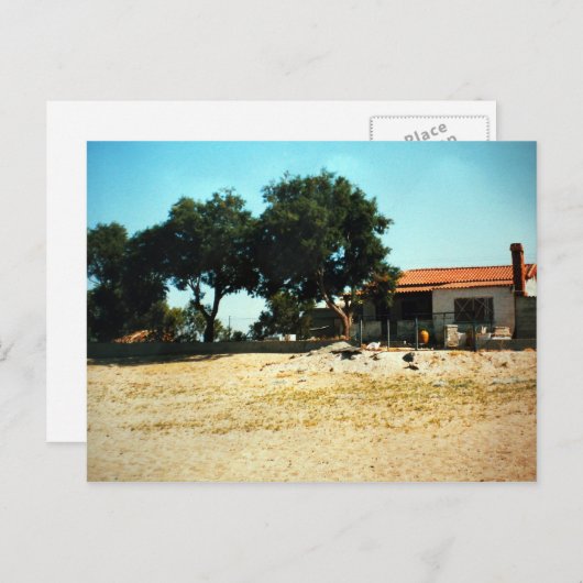 ギリシャ語のZorbaPhoto Colette Guggenheim ポストカード (正面/裏面)