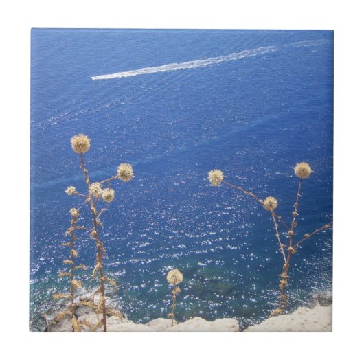 ギリシャ青海セラミックタイル タイル (正面)