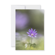 ギリシャ風の花の自然写真