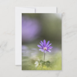 ギリシャ風の花の自然写真 カード