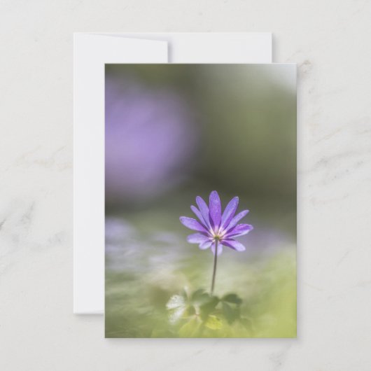 ギリシャ風の花の自然写真 カード (正面)