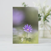 ギリシャ風の花の自然写真 カード (スタンド正面)