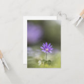 ギリシャ風の花の自然写真 カード (正面/裏面インサイチュ)