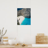 ギリシャ、イオニア諸島、ザキントス、難破船 ポスター (キッチン)