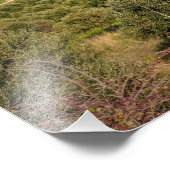 ギリシャ・クレタの農村地域 フォトプリント            (角)