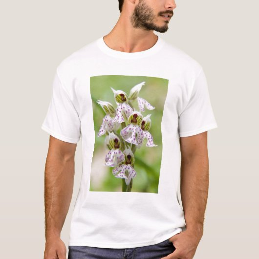 ギリシャ、クレタ島。開花した蘭 オーキス Tシャツ (正面)