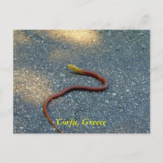 ギリシャ，コルフ ポストカード (正面)