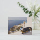 ギリシャ，サントリーニ島，オイア市，眠っている犬 ポストカード (スタンド正面)
