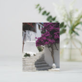 ギリシャ，スコペロス ポストカード (スタンド正面)