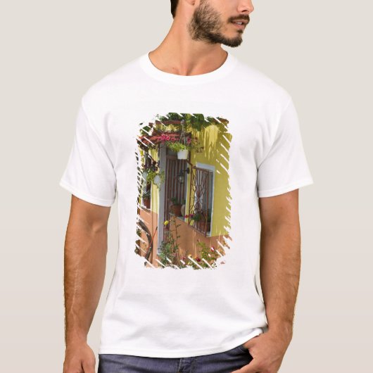 ギリシャ,北東エーゲ海諸島,レスボス島 Tシャツ (正面)