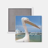 ギリシャ、Cyclades Islands、Mykonos、ペリカン マグネット (正面/裏面)