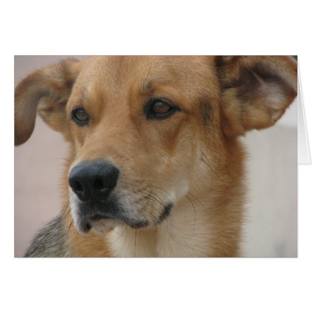 ギルバート (正面横)