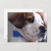 ギルバート ポストカード (正面/裏面)