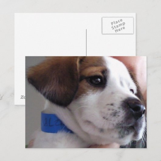 ギルバート ポストカード (正面/裏面)