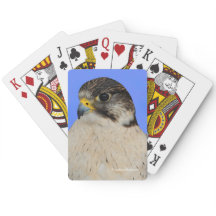 ギルファルコン素晴らしサーカーハイブリッド《鳥》ハヤブサ