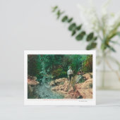 ギルロイ・ホットスプリングスでのコヨーテ・クリークの眺め ポストカード (スタンド正面)