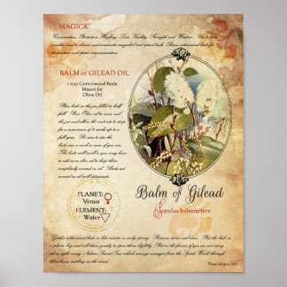 ギレアードのバーム ポスター