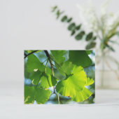 ギンナン葉の夏 ポストカード (スタンド正面)