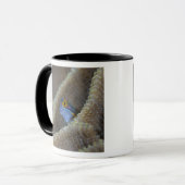 ギンポ科の魚が頭を出している マグカップ (正面左)