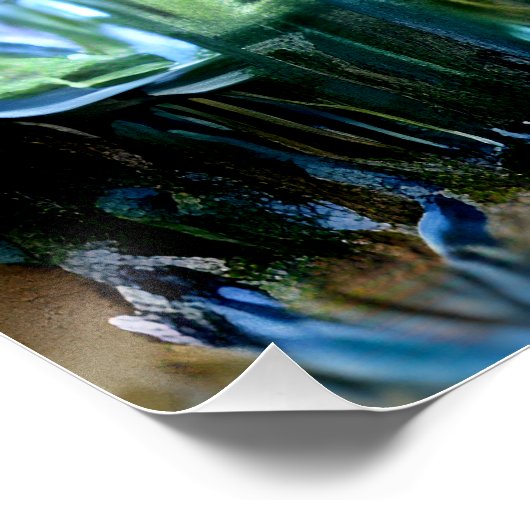 ギヴェルニーの庭の虹彩と睡蓮 ポスター (コーナー)