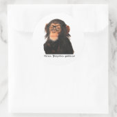 ギーク猿 ラウンドシール (バッグ)