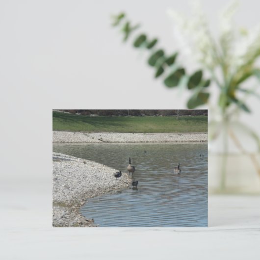 ギーゼ ポストカード (スタンド正面)