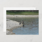 ギーゼ ポストカード (正面/裏面)