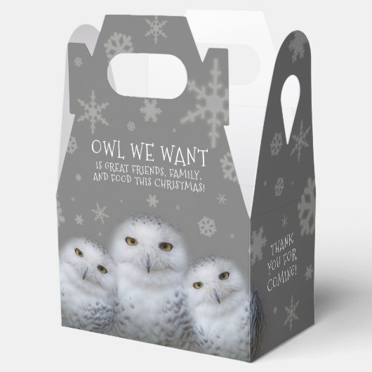 クおもしろいリスマスに行きたい…雪のフール フェイバーボックス (オープン)