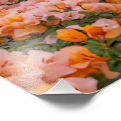 クアイントメキシコタウンアットサンセット フォトプリント            (角)