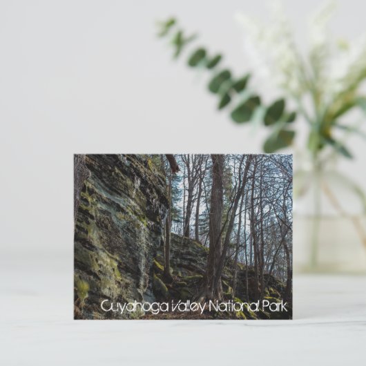 クアホガバレー国立公園はがき ポストカード (スタンド正面)