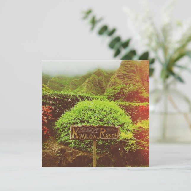 クアロアランチ (スタンド正面)