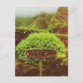 クアロアランチ シーズンポストカード (正面)