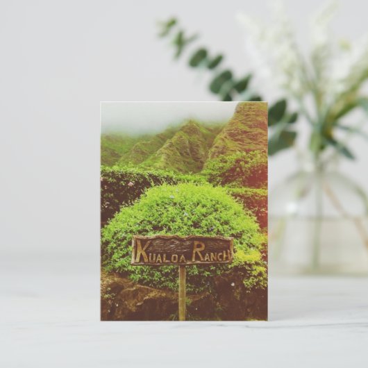 クアロアランチ ポストカード (スタンド正面)