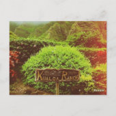 クアロアランチ ポストカード (裏面)