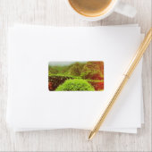 クアロアランチ ラベル (インサイチュ)