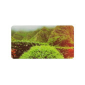 クアロアランチ ラベル (正面)