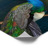 クアンインウォールタペストリー ポスター (角)