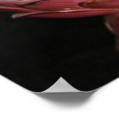 クアンイン慈悲の女神の仏像の瞑想ポスター ポスター (角)