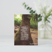 クィノーレインフォレスト ポストカード (スタンド正面)