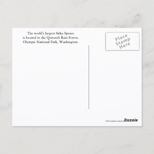 クィノー熱帯雨林旅行写真 ポストカード (裏面)