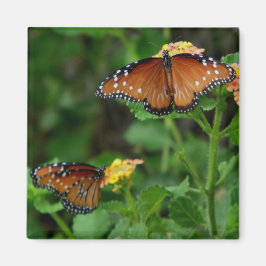 クィーン・蝶の磁石のペア マグネット