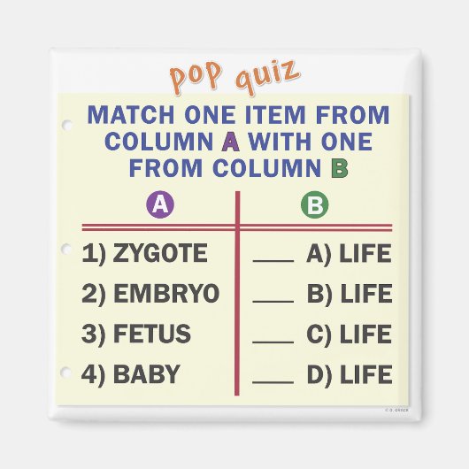 クイズ付きの小さなマグネット マグネット (正面)