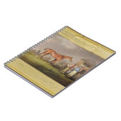 「クイズ」のポートレート、主のRous特性、後方に ノートブック (左側)